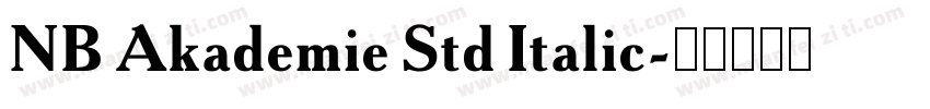 NB Akademie Std Italic字体转换